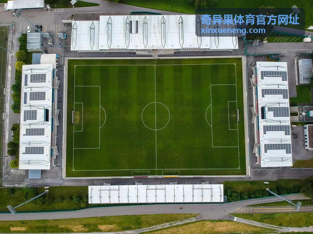 奇异果体育官方网址五人制足球替换与暂停规则条目缩略图